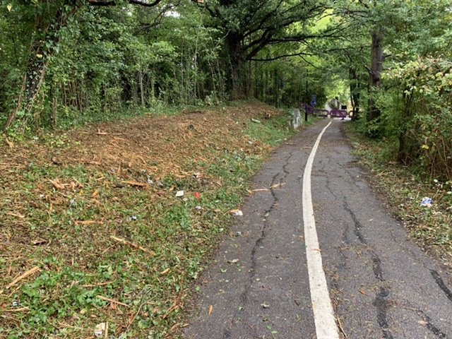 Completed vegetation clearance