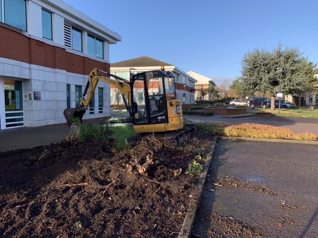 Shrub bed removal in progress