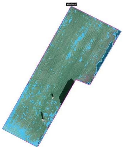 Spot Spraying Map