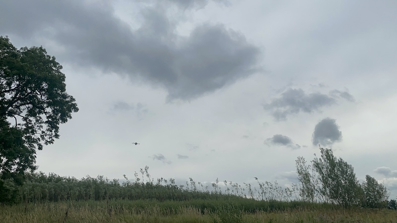 Fertilising trees using a drone