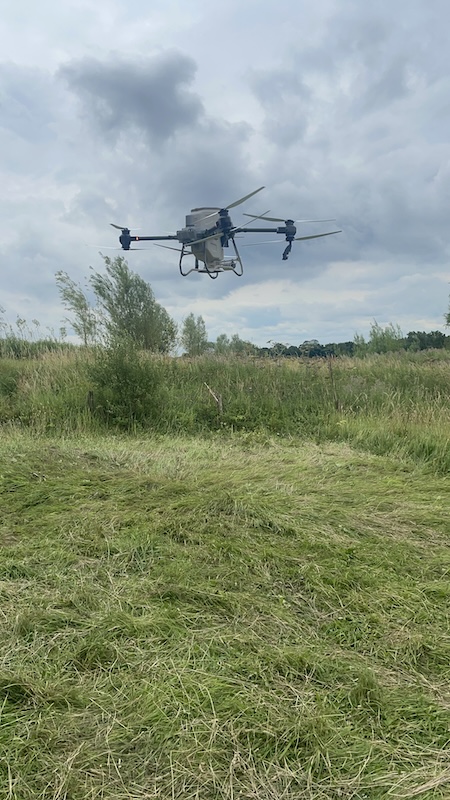 Fertilising Biomass Willow Trees By Drone